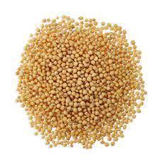 Just Ingredients Yellow Mustard Seeds 1kg RRP 25.07 CLEARANCE XL 13.99